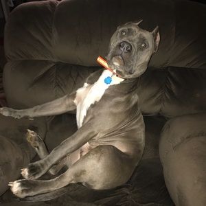 Meet your Posher, Tiffany